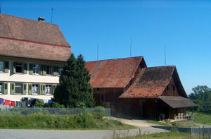 Balgenhaus
