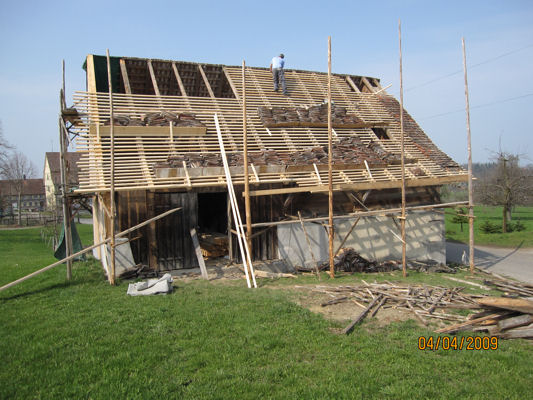 DachOst