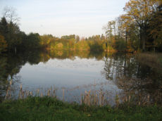 Weiher