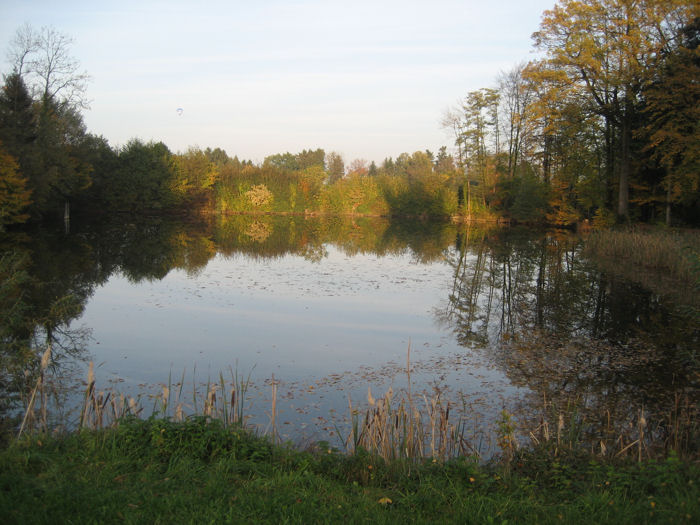 Balgenweiher